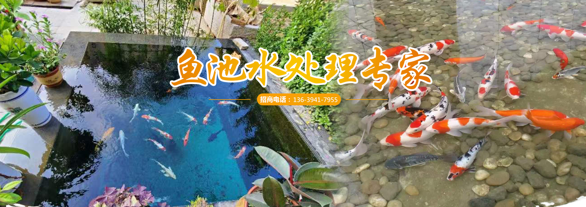 金鄉(xiāng)縣高創(chuàng)農(nóng)業(yè)科技有限公司