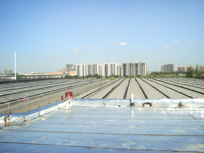 棚膜的選擇對(duì)大棚蔬菜育苗也有影響